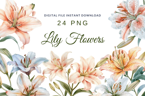 Elevate Your Designs with Watercolor Lilies Flower Lily Clipart