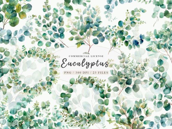 Eucalyptus Bundle & Clipart: A Designer's Guide to Botanical Assets