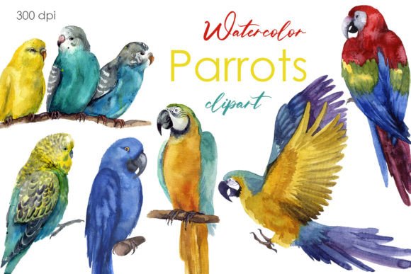Vibrant Parrot Clipart for Tropical Design Projects