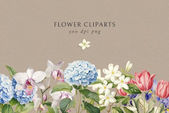 Vintage Charm Flowers Clip Art: Elevate Your Design Projects
