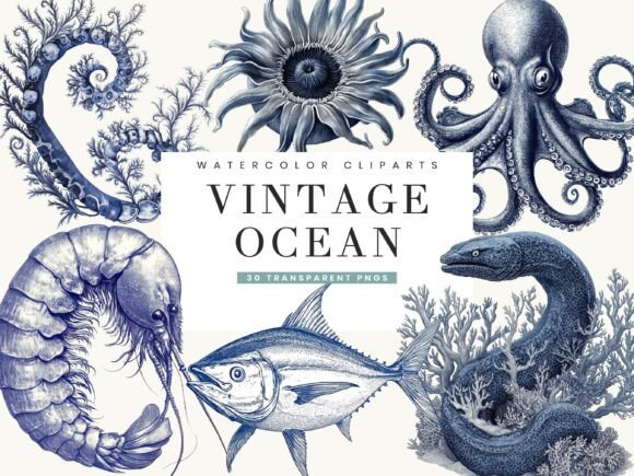 Vintage Ocean Clipart Bundle: A Sea of Design Possibilities