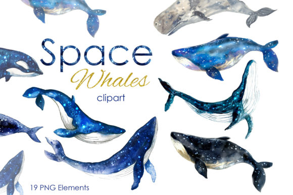 Watercolor Clipart: Watercolor Whale Art & Space Elements