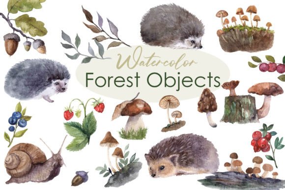 Watercolor Forest Clipart: Cute Fall PNG Elements for Design