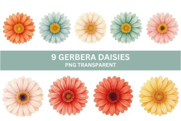 Watercolor Gerbera Daisy PNG Set: 9 Vibrant Designs